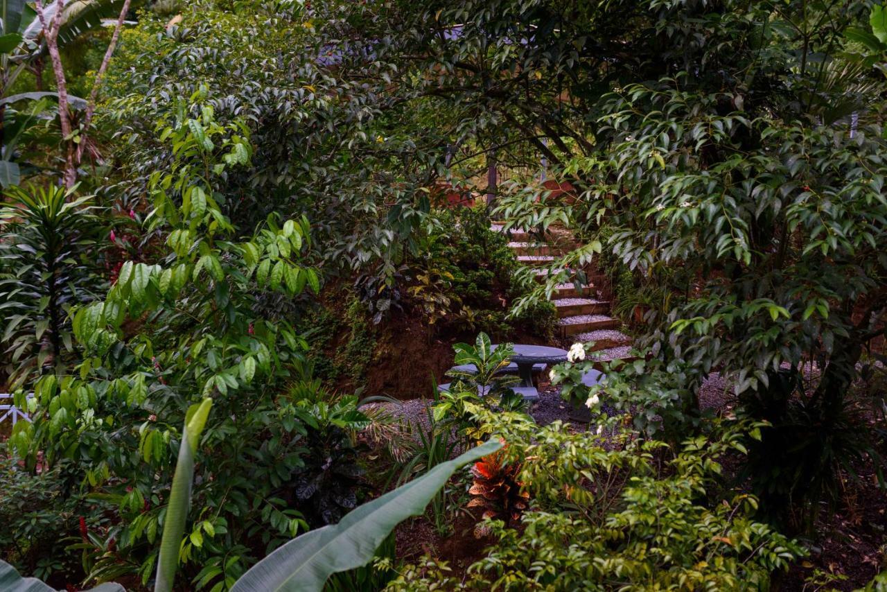 Volcano Gold Loft La Fortuna Dış mekan fotoğraf