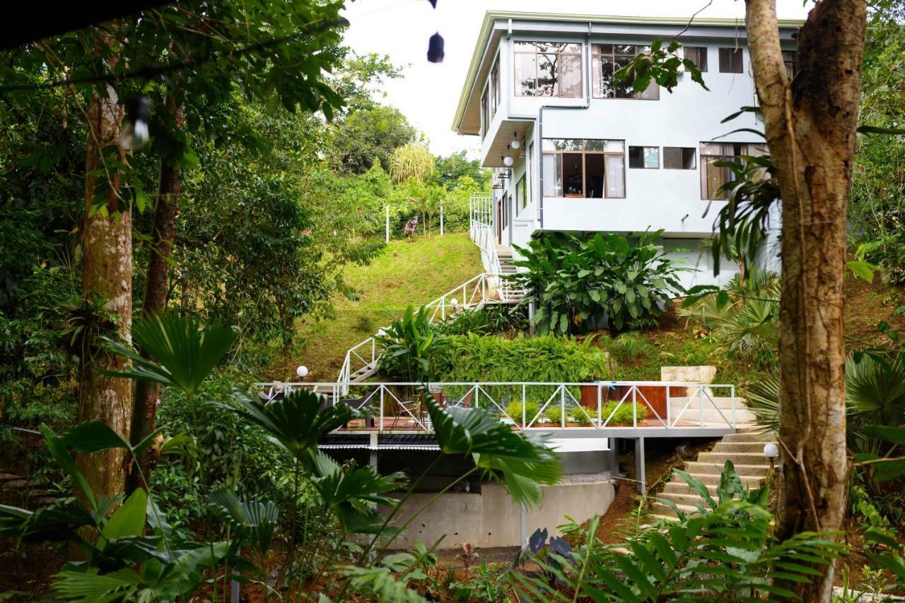 Volcano Gold Loft La Fortuna Dış mekan fotoğraf