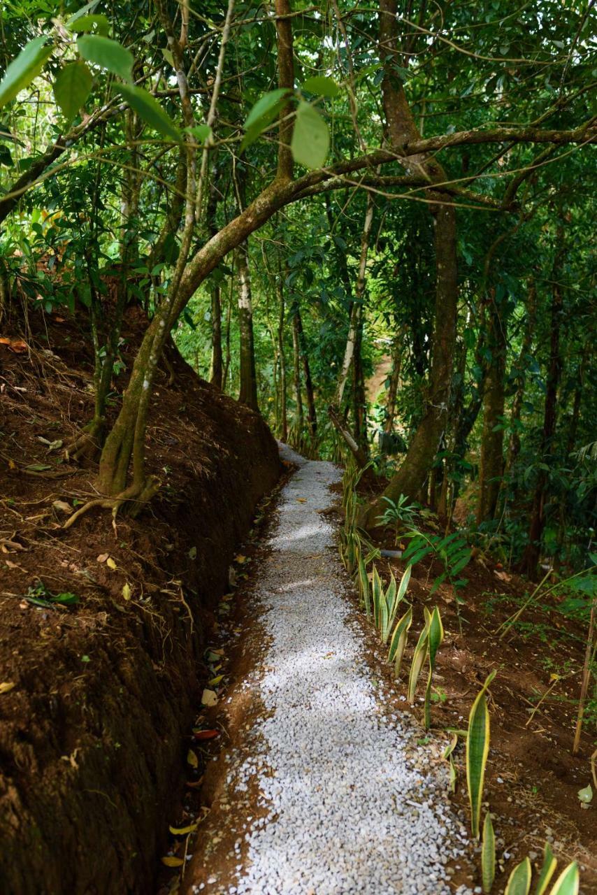 Volcano Gold Loft La Fortuna Dış mekan fotoğraf