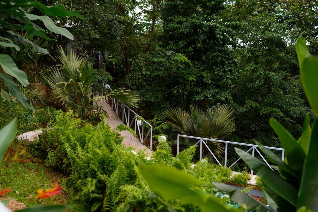 Volcano Gold Loft La Fortuna Dış mekan fotoğraf