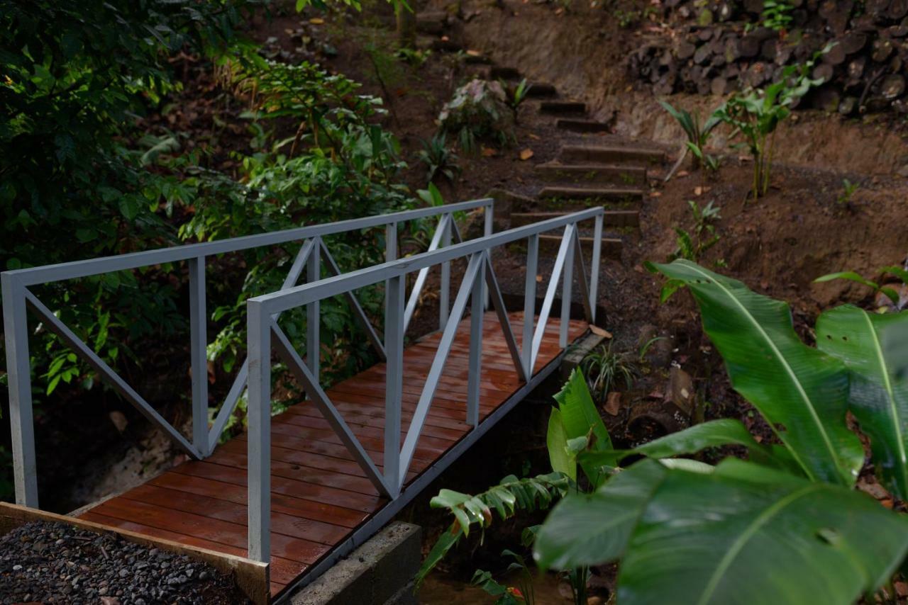 Volcano Gold Loft La Fortuna Dış mekan fotoğraf