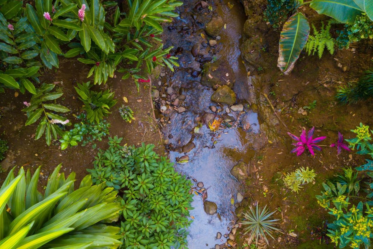 Volcano Gold Loft La Fortuna Dış mekan fotoğraf